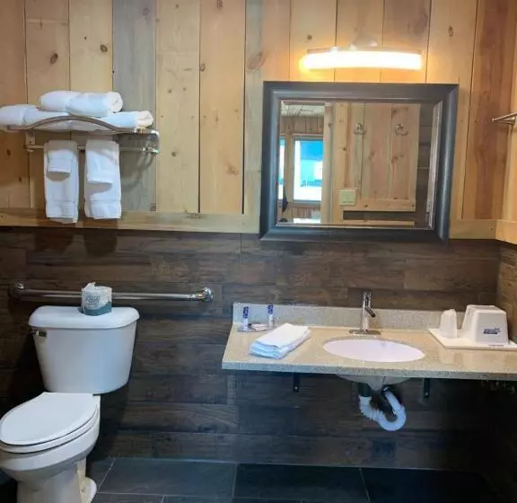 身障者適用キングサイズベッドルーム, Americas Best Value Inn Wall
