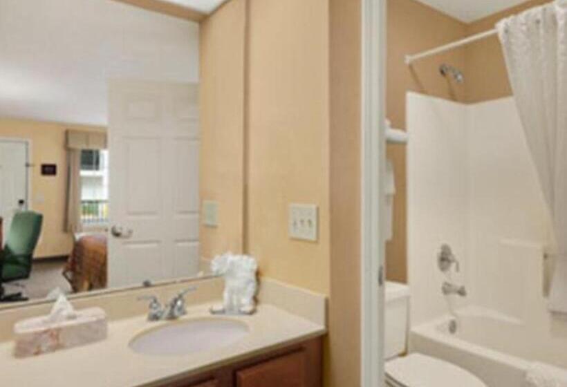 带大床的豪华间, Baymont By Wyndham Tuscaloosa