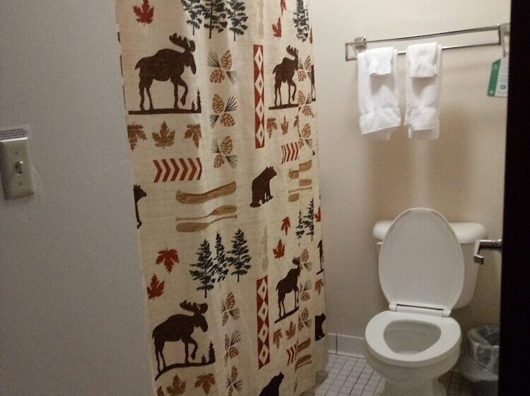 غرفه قياسيه سريرين مزدوجين, Kelly Inn West Yellowstone