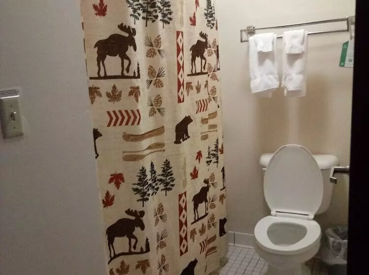اتاق استاندارد با 2 تخت دوبل, Kelly Inn West Yellowstone