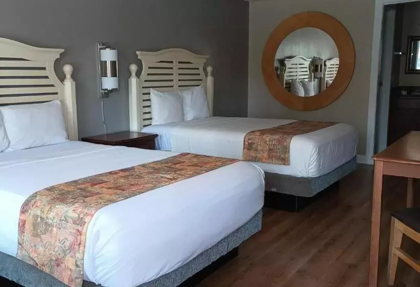 エコノミールーム, Liberty Inn