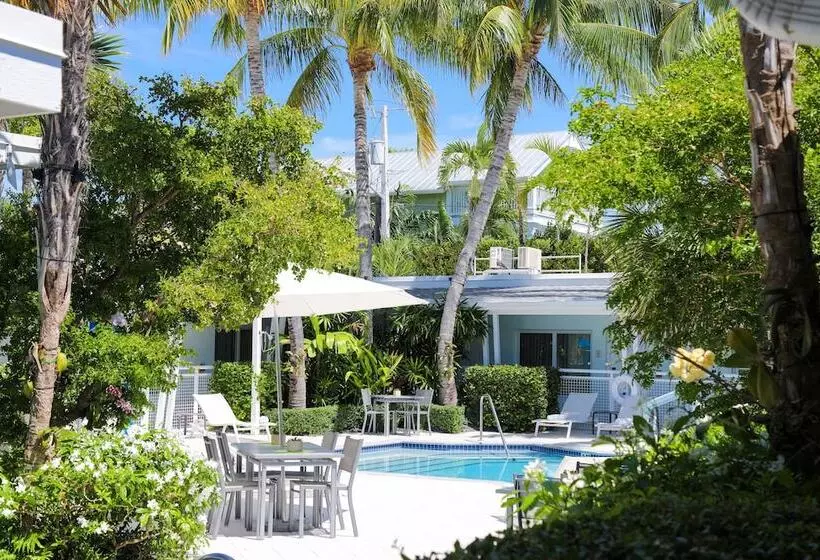 اتاق لوکس, Orchid Key Inn   Adults Only