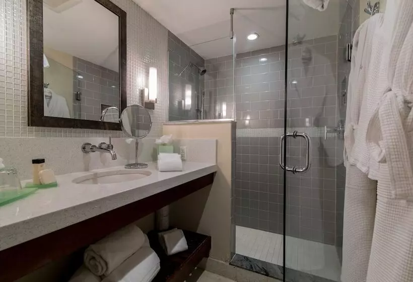 اتاق لوکس, Orchid Key Inn   Adults Only