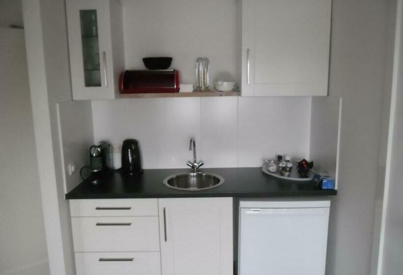 غرفة قياسية, T Veerhuys