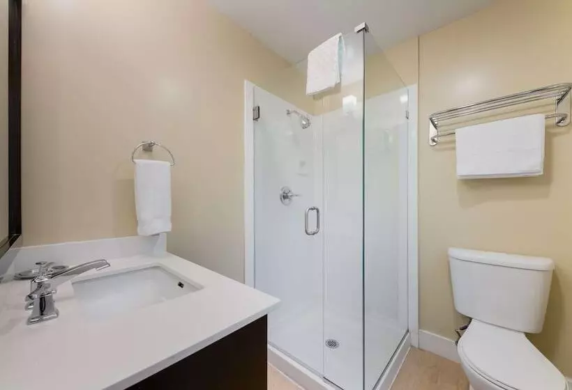 اتاق استاندارد با 2 تخت دوبل, Best Western The Inn Of Los Gatos