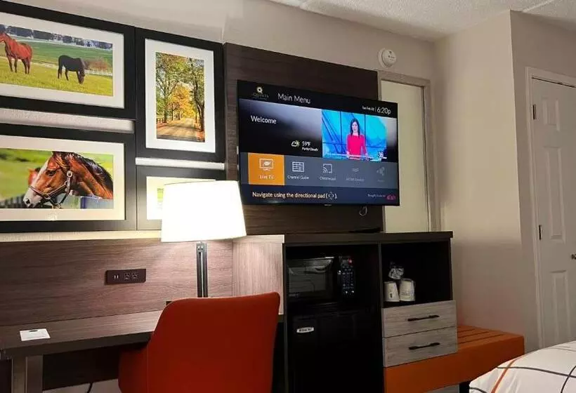 身障者適用キングサイズベッドルーム, La Quinta Inn Lexington Horse Park
