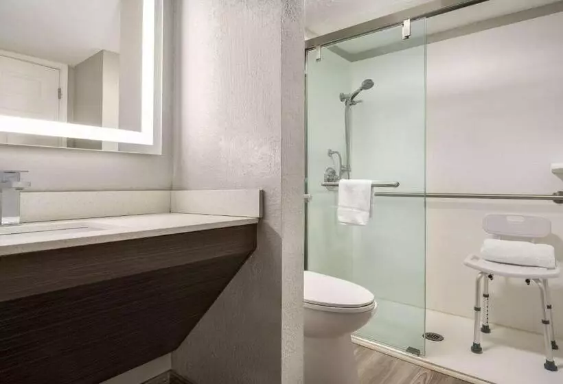 身障者適用キングサイズベッドルーム, La Quinta Inn Lexington Horse Park