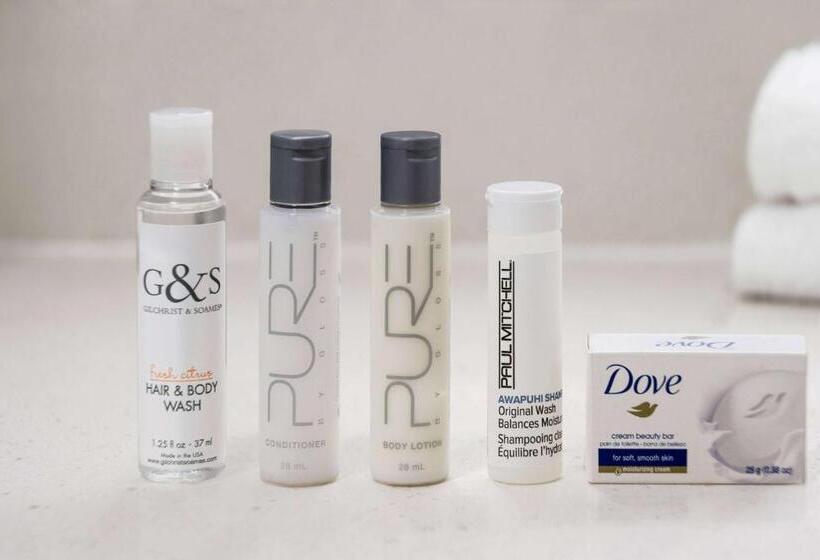 اتاق استاندارد با تخت بزرگ برای معلولان, La Quinta Inn Lexington Horse Park