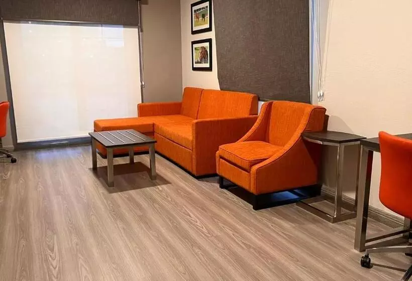 キングサイズベッドのスイートルーム, La Quinta Inn Lexington Horse Park