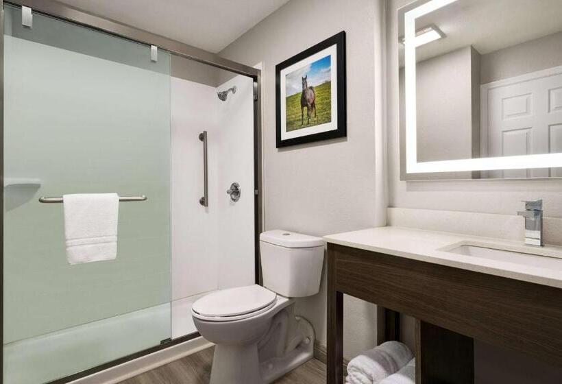 Quarto Deluxe Cama King, La Quinta Inn Lexington Horse Park