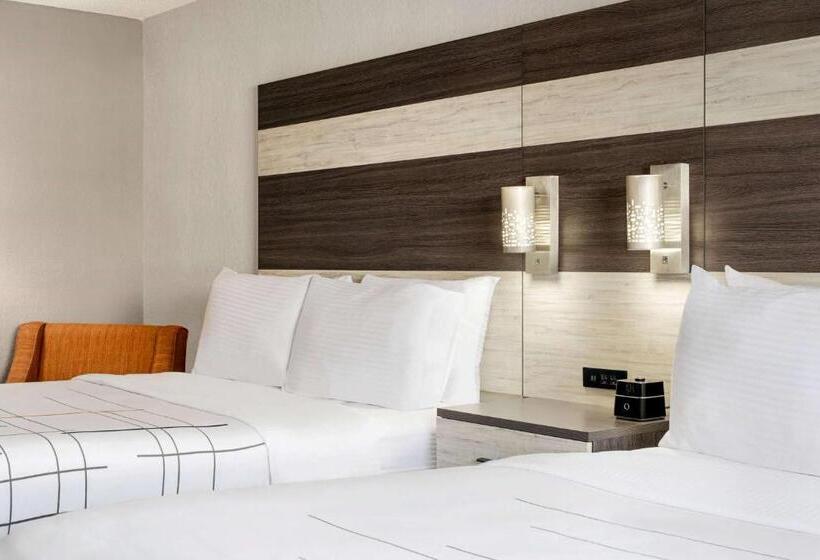 اتاق استاندارد, La Quinta Inn Lexington Horse Park