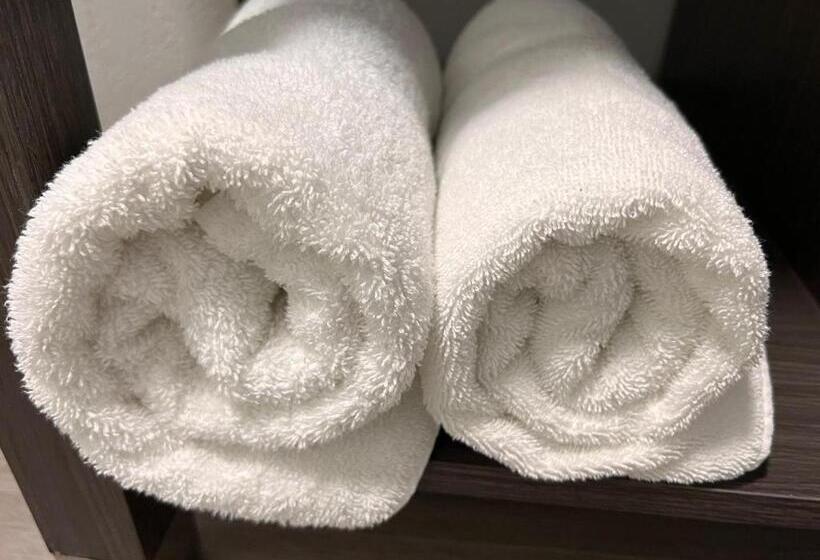 اتاق استاندارد, La Quinta Inn Lexington Horse Park