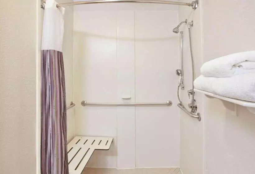 身障者適用キングサイズベッドルーム, La Quinta By Wyndham Houston Galleria Area