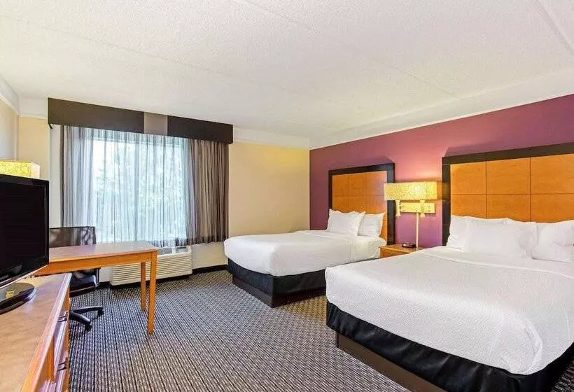 デラックスルーム, La Quinta By Wyndham Orlando I Drive/conv Center