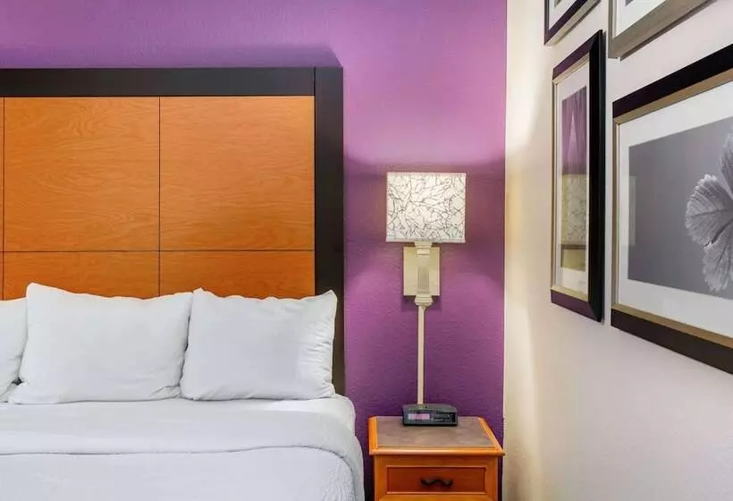 デラックスルーム, La Quinta By Wyndham Raleigh Durham Intl Ap