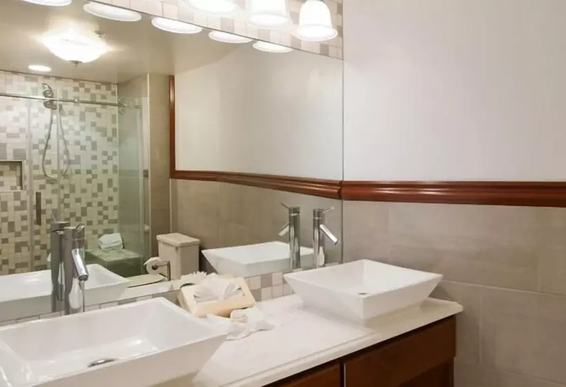 デラックスルーム, Lake View