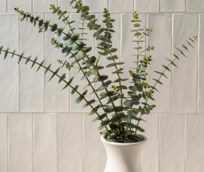 Номер Deluxe, Macarthur Place Inn & Spa