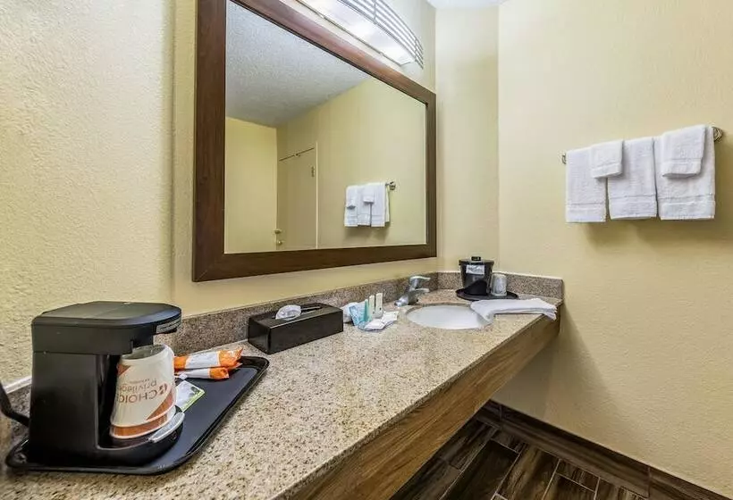 ２ダブルベッドのスタンダードルーム, Quality Inn Clemson Near University