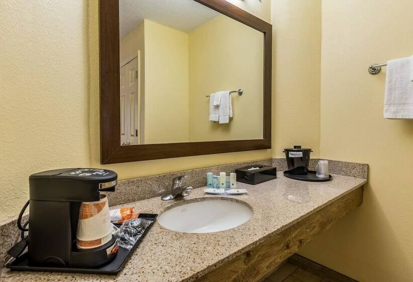 스탠다드 룸 더블 침대 2개, Quality Inn Clemson Near University