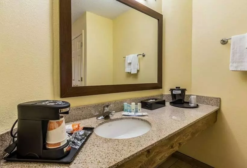 ２ダブルベッドのスタンダードルーム, Quality Inn Clemson Near University