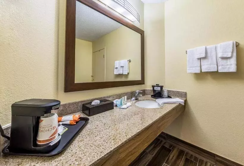 キングサイズベッドのスタンダードルーム, Quality Inn Clemson Near University