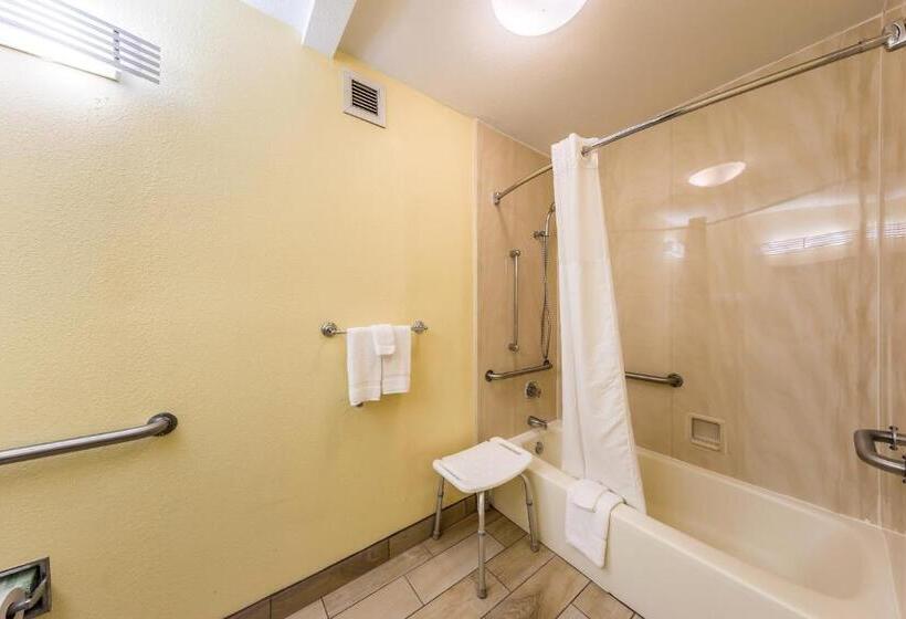스탠다드 룸 킹사이즈 침대, Quality Inn Clemson Near University