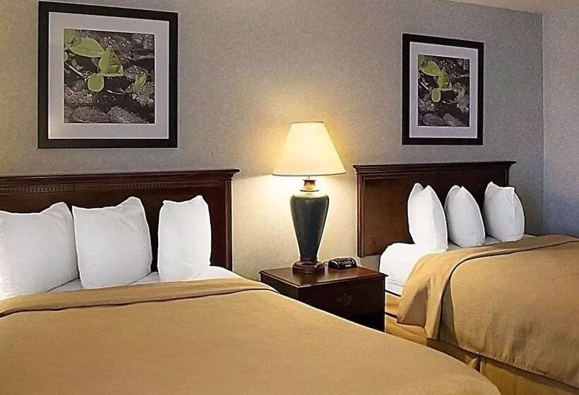 ２ダブルベッドのスタンダードルーム, Quality Inn & Suites Cincinnati I 275