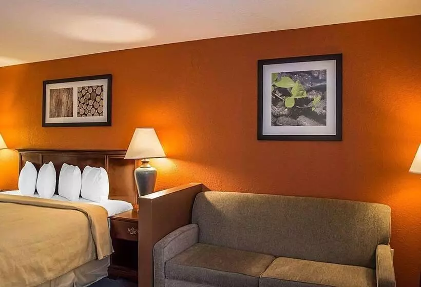キングサイズベッドのスイートルーム, Quality Inn & Suites Cincinnati I 275