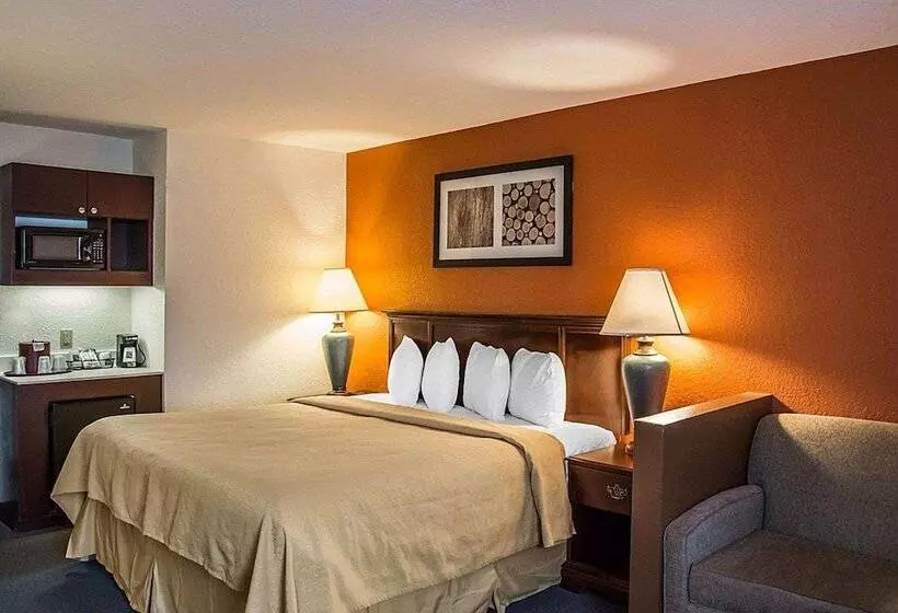 キングサイズベッドのスイートルーム, Quality Inn & Suites Cincinnati I 275