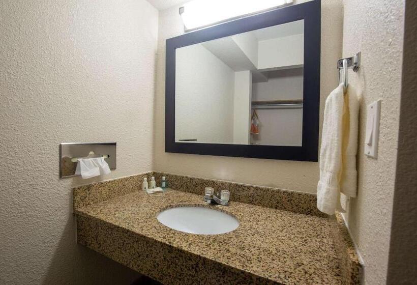 Стандартный Номер Кровать Кинг, Quality Inn & Suites