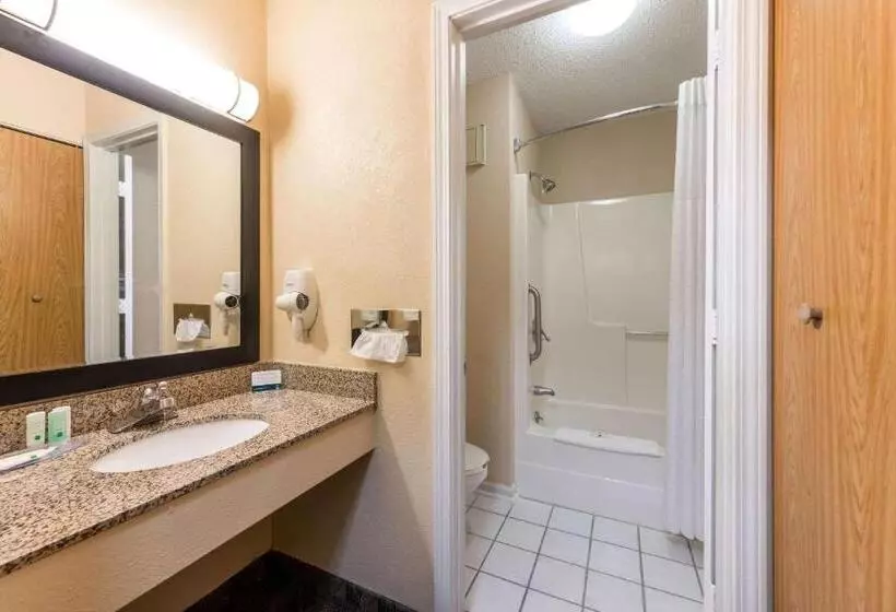 キングサイズベッドのスタンダードルーム, Quality Inn & Suites