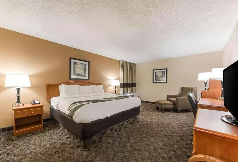 キングサイズベッドのスタンダードルーム, Quality Inn & Suites