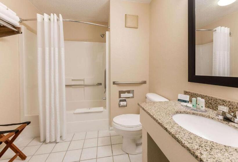 Стандартный Номер Кровать Кинг, Quality Inn & Suites