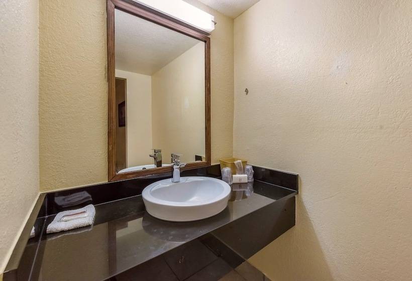 带2个双人床的标准工作室, Red Roof Inn Plano