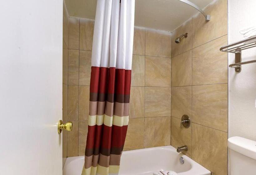 带大床的标准间, Red Roof Inn Plano