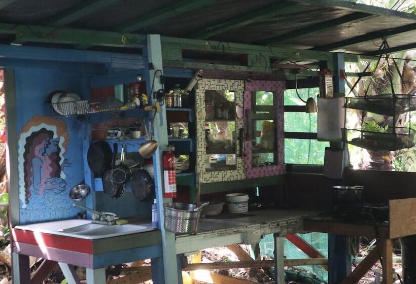 共用房间的床, Cinderland Ecovillage   Hostel