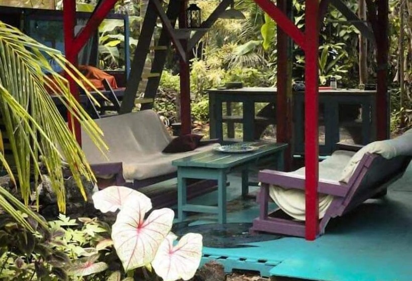 共用房间的床, Cinderland Ecovillage   Hostel