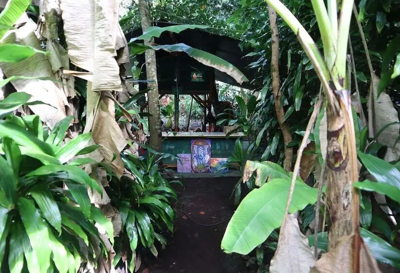 ルームシェアのワンベッド, Cinderland Ecovillage   Hostel