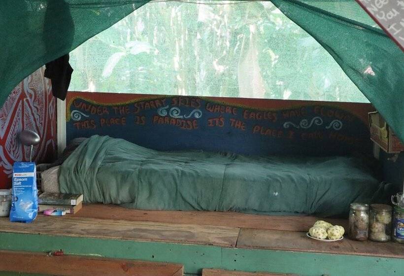 共用房间的床, Cinderland Ecovillage   Hostel