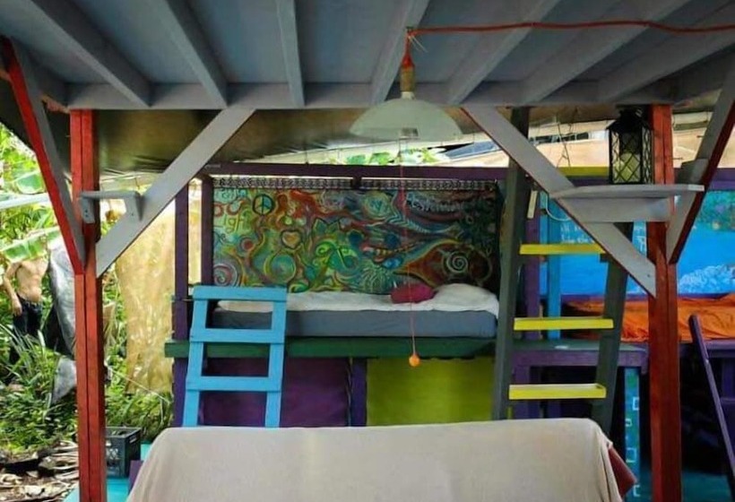 共用房间的床, Cinderland Ecovillage   Hostel