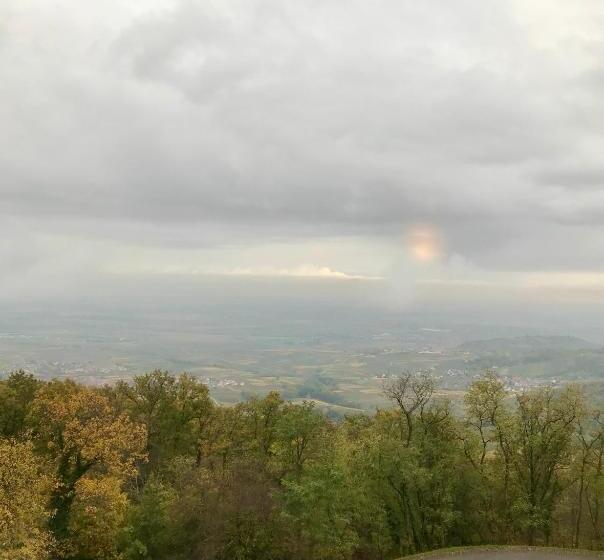 Номер Стандарт Вид на Горы, Domaine Du Haut Koenigsbourg