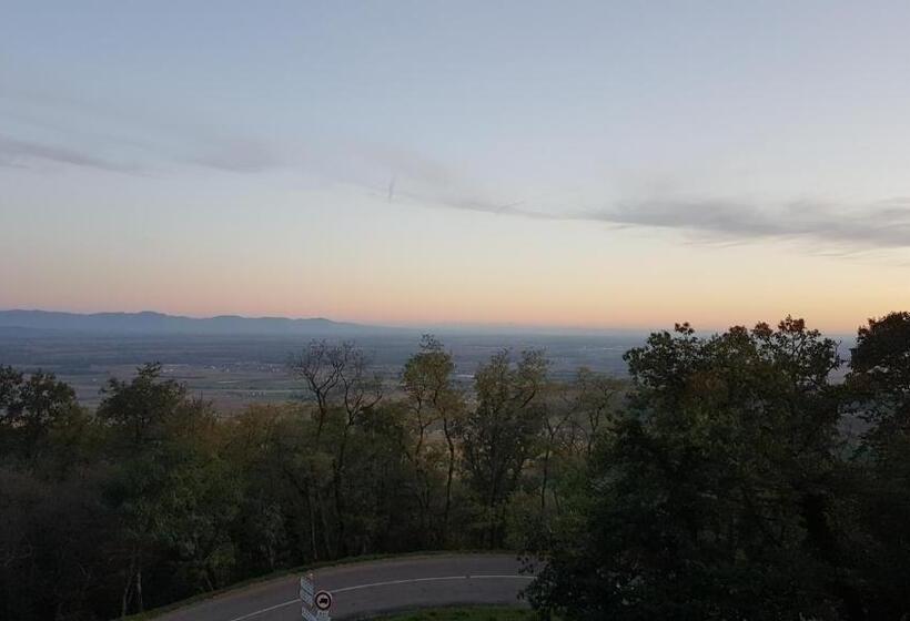 Номер Стандарт Вид на Горы, Domaine Du Haut Koenigsbourg