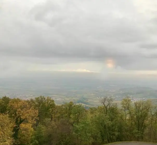 スタンダードシングルルーム, Domaine Du Haut Koenigsbourg