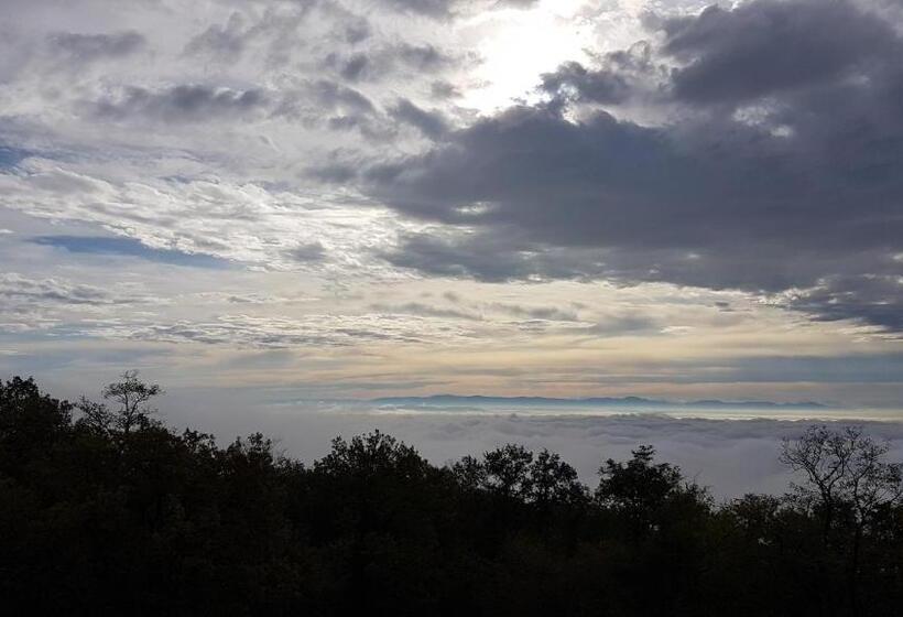 标准单人间, Domaine Du Haut Koenigsbourg