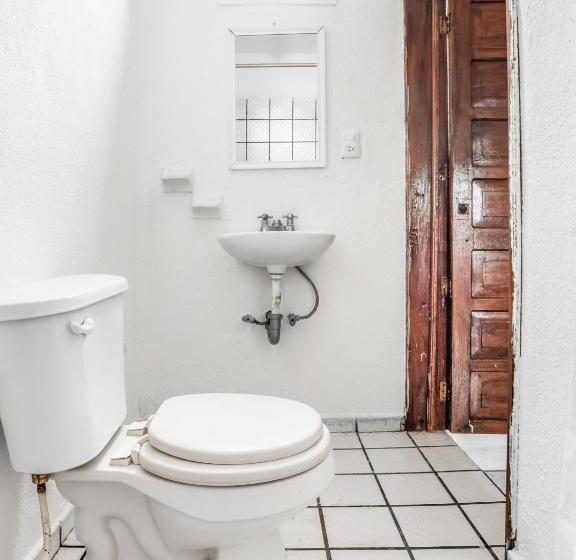 高级大房间, Jaguar