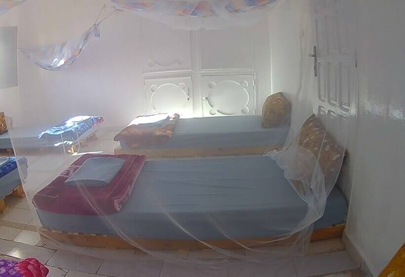 تختخواب در اتاق مشترک, Le Triskell Auberge Hostel