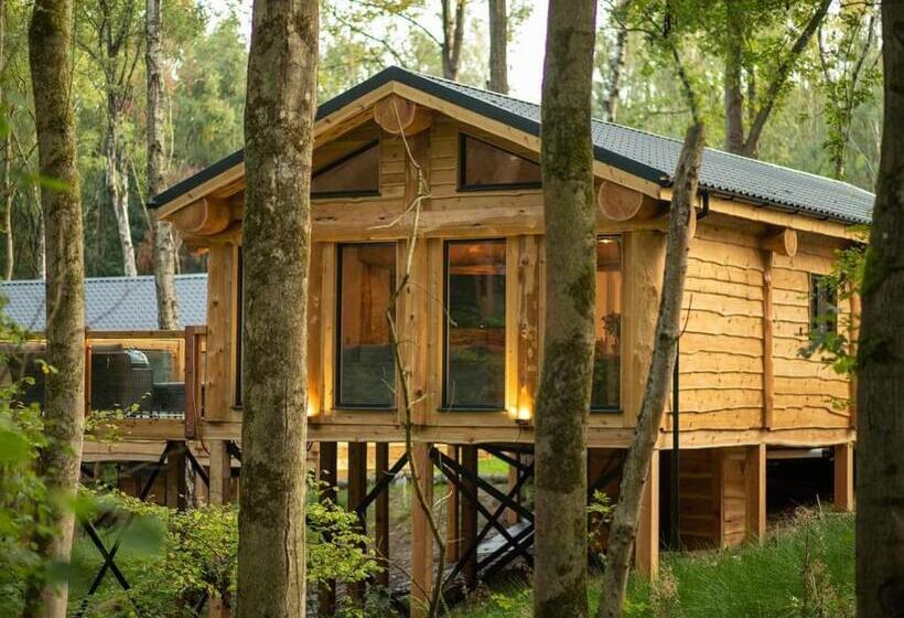 Дом 3 Спальни, Woodland Park Lodges