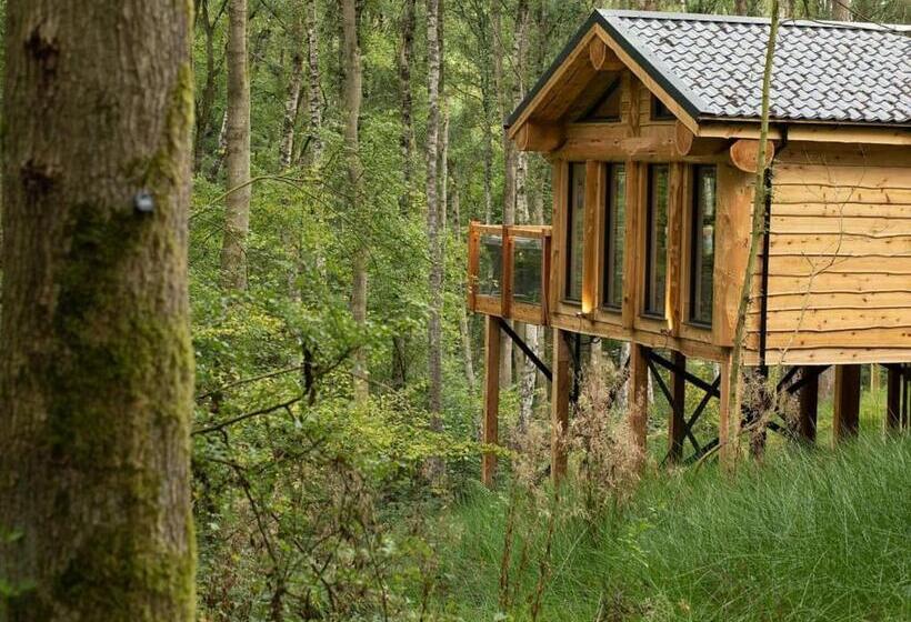 침실 3개 주택, Woodland Park Lodges