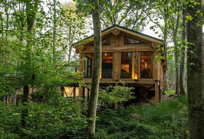 침실 3개 주택, Woodland Park Lodges