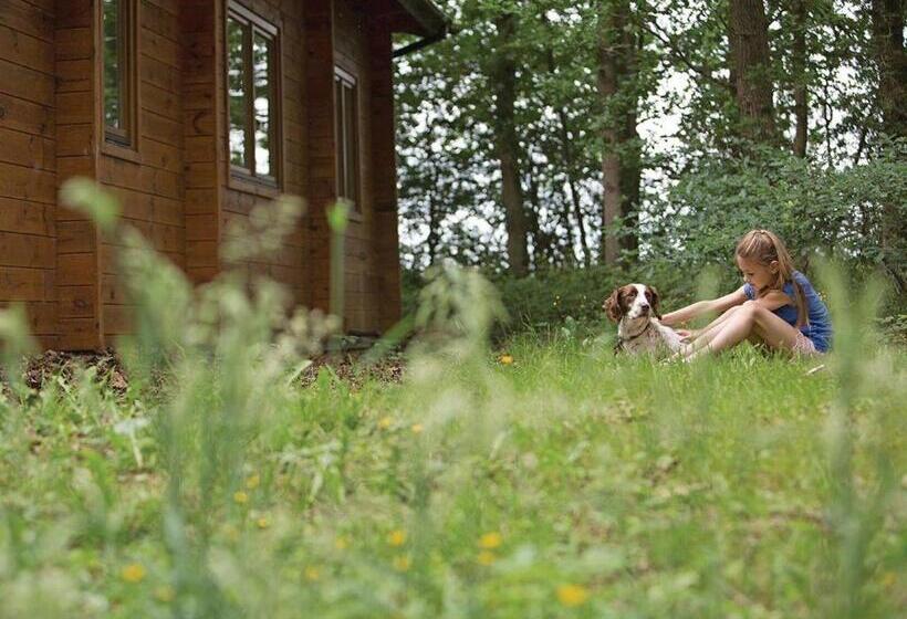 Дом 3 Спальни, Woodland Park Lodges